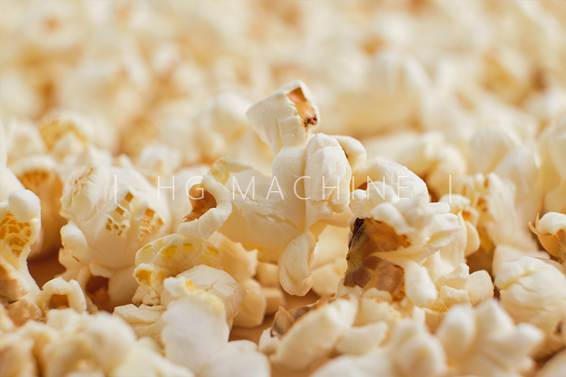 ポップコーン生産ライン