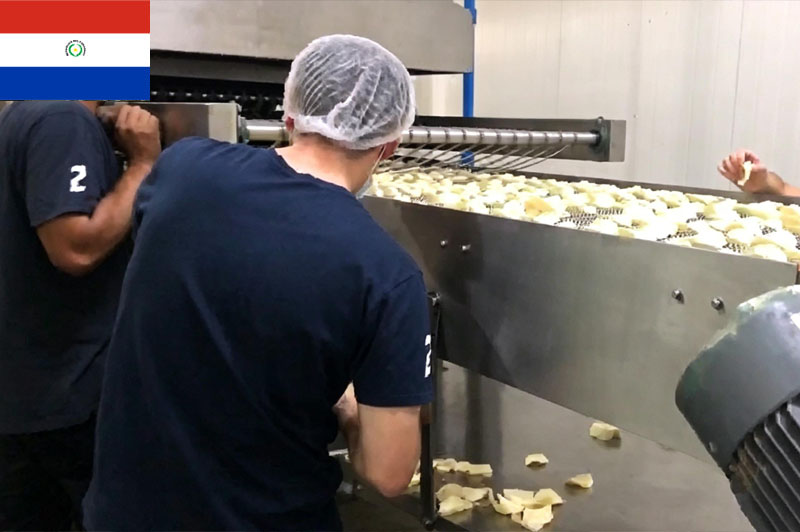 パラグアイチップス生産プロジェクト 250kg/時